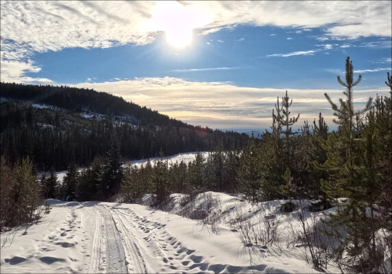 Lodgepole Lake